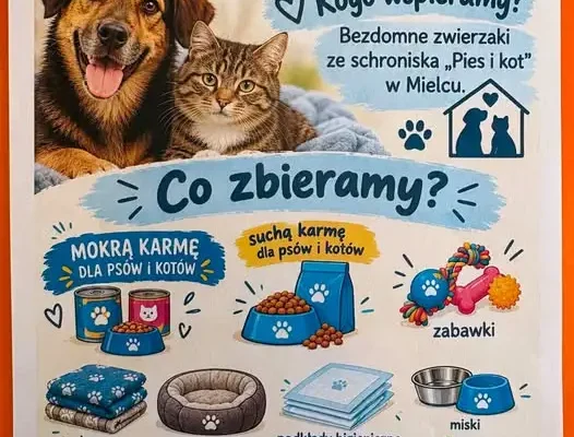 Szkolne Koło Caritas organizuje zbiórkę dla bezdomnych zwierząt ze schroniska „Pies i kot” w Mielcu
