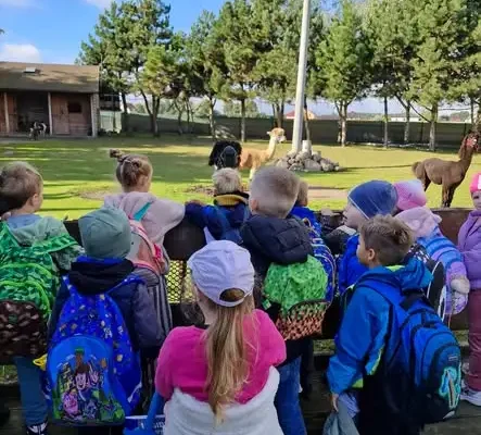 Uczniowie klasy 1c ze Szkoły Podstawowej nr 7 odwiedzili zagrodę „Alpaki z naszej paki”