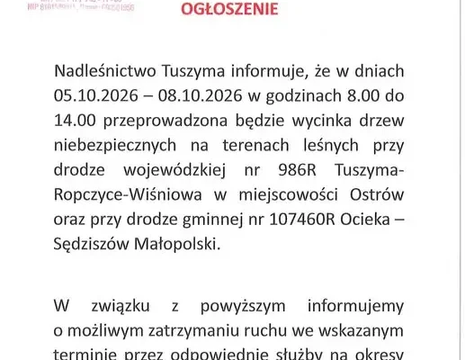 Wycinka drzew w Nadleśnictwie Tuszyma – utrudnienia na drogach w dniach 5-8 października