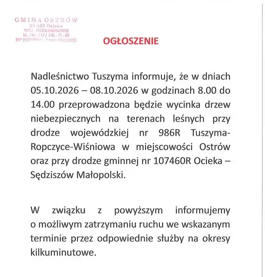 Wycinka drzew w Nadleśnictwie Tuszyma – utrudnienia na drogach w dniach 5-8 października