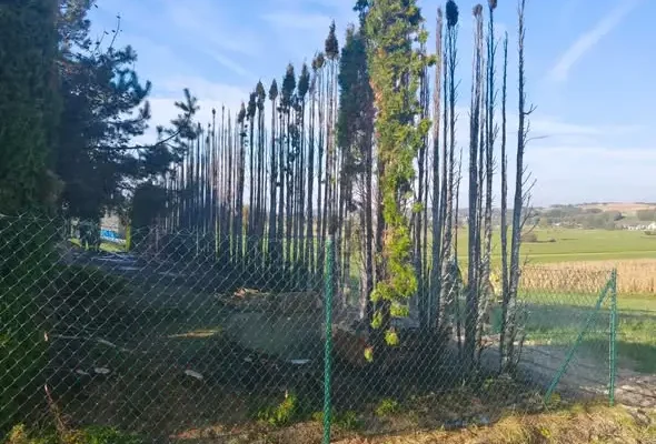 Pożar tui w Gliniku – interwencja strażaków
