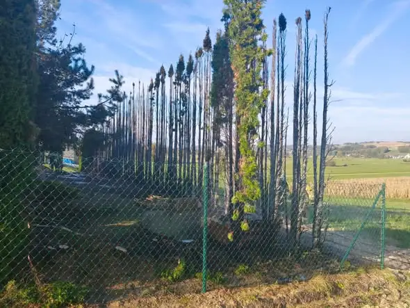 Pożar tui w Gliniku – interwencja strażaków