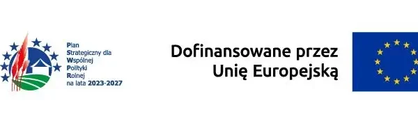 Sędziszów Małopolski: 433 tys. zł na boisko i siłownię plenerową