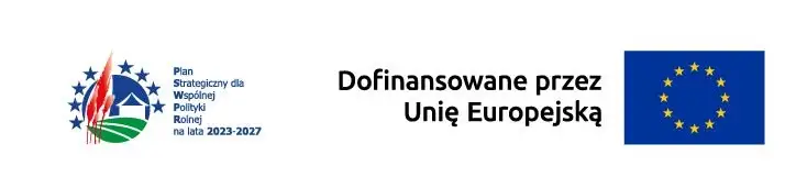 Sędziszów Małopolski: 433 tys. zł na boisko i siłownię plenerową